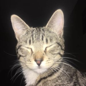 Meet your Posher, Bill